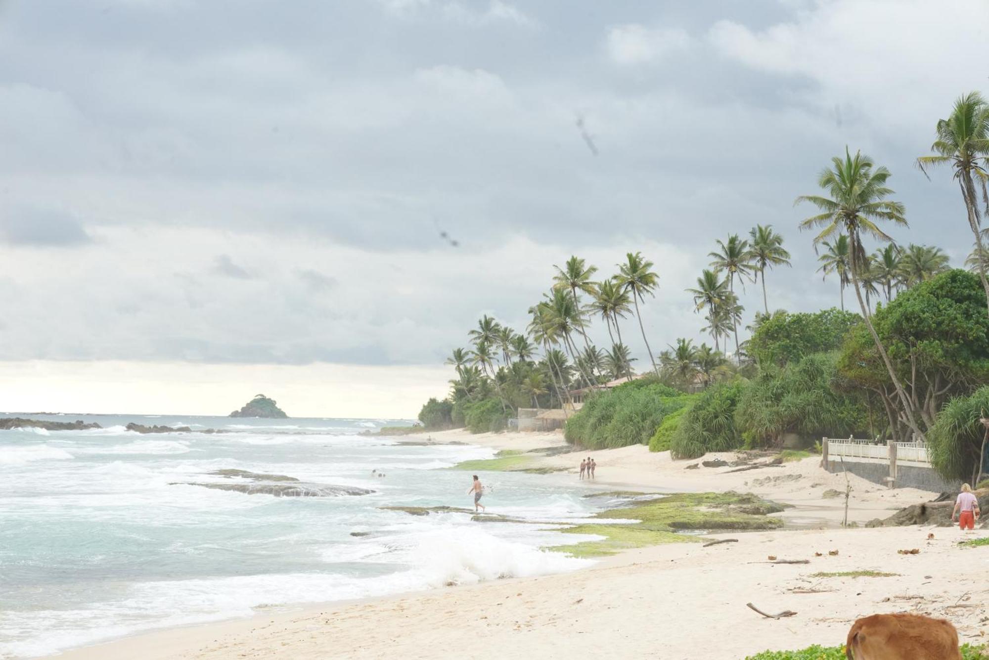 Surf Orchid Villa ウェリガマ エクステリア 写真